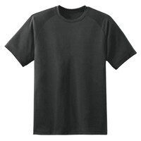 Dry Zone™ Short Sleeve Raglan T Shirt